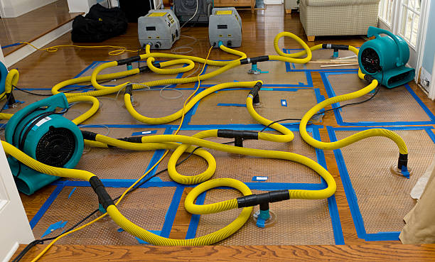 Professional Burst Pipe Water Damage technician working in Dakota, MN